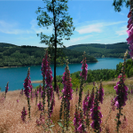 Impressionen Breitenbachertalsperre / Obernautalsperre