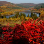 Indiansummer